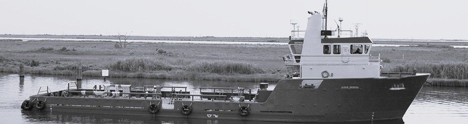 OSV 321