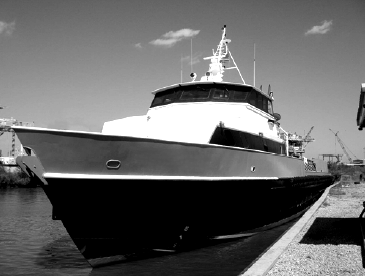 Screenshot-2025-12-10-164913-blackwhite